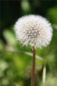 Fluffy Dandelion Journal