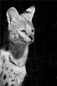 Serval Wild Cat Portrait Journal