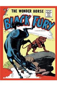 Black Fury # 8