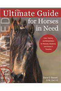 Ultimate Guide for Horses in Need