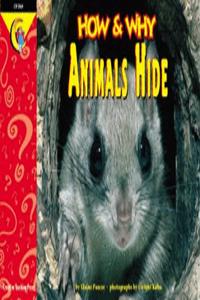 How and Why Animals Hide