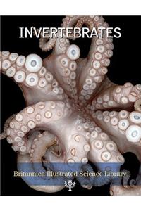 Invertebrates