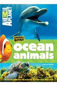 Ocean Animals (Animal Planet Animal Bites)