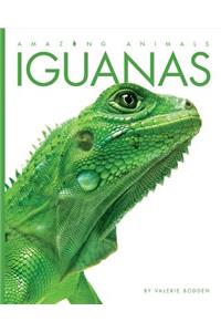 Amazing Animals: Iguanas
