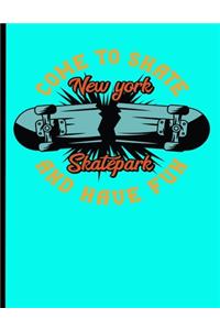 Come To Skate And Have Fun New York Skatepark