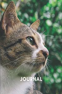 Journal