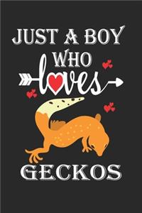 Just a Boy Who Loves Geckos