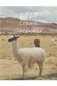 2020 Llama Calendar