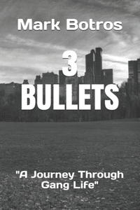 3 Bullets