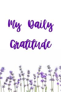 My Daily Gratitude