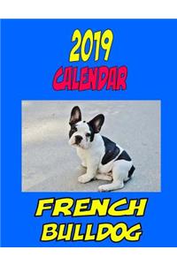 2019 Calendar French Bulldog
