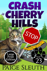 Crash in Cherry Hills