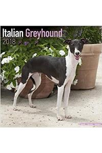 Italian Greyhound Calendar 2018