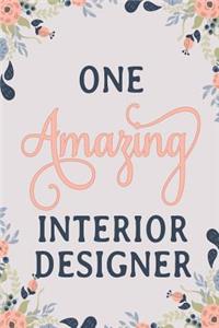 One Amazing Interior Designer