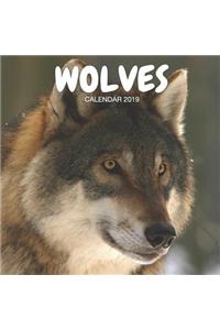Wolves Calendar 2019