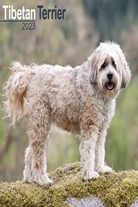 Tibetan Terrier 2023 Wall Calendar