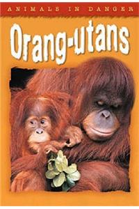 Animals in Danger: Orang-utans