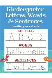 Kindergarten Letters, Words & Sentences Writing Workbook