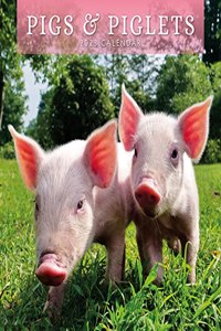 PIGS PIGLETS 2023 SQUARE WALL CALENDAR