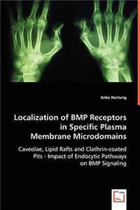 Localization of BMP Receptors in Specific Plasma Membrane Microdomains