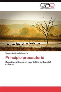 Principio Precautorio