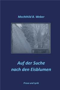 Auf der Suche nach den Eisblumen