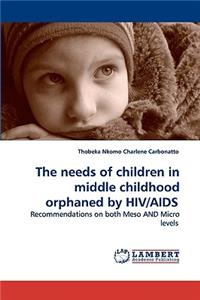The needs of children in middle childhood orphaned by HIV/AIDS