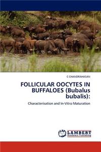 FOLLICULAR OOCYTES IN BUFFALOES (Bubalus bubalis)