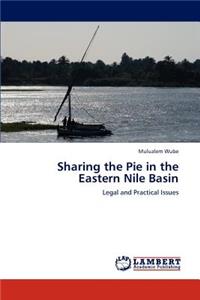 Sharing the Pie in the Eastern Nile Basin