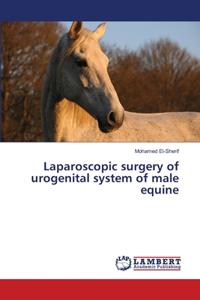 Laparoscopic surgery of urogenital system of male equine