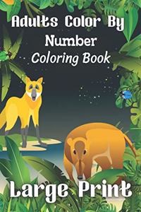 Adults Color By Number Coloring Book Large Print