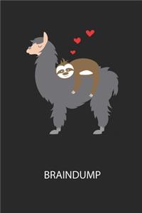 Braindump