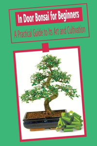 In Door Bonsai for Beginners