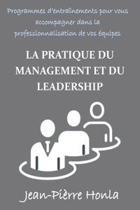 Pratique Du Management Et Du Leadership