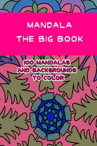 Mandala the big book