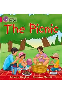 Picnic