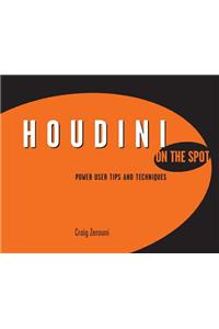 Houdini On the Spot: Power User Tips and Techniques