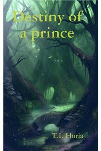 Destiny of the prince