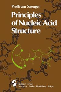 Principles of Nucleic Acid Structure