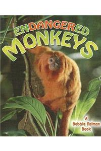 Endangered Monkeys