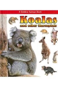 Koalas and Other Marsupials