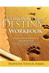 Chronicles of Destiny Workbook