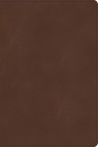 KJV Single-Column Wide-Margin Bible, Brown Leathertouch