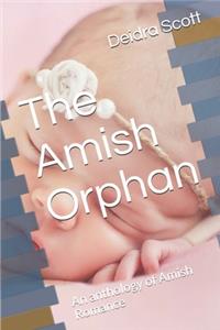 The Amish Orphan