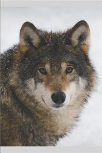 Wolf Lovers Journal