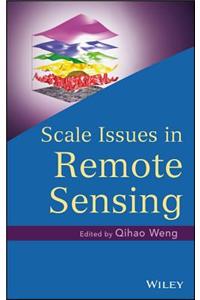 Scale Issues in Remote Sensing