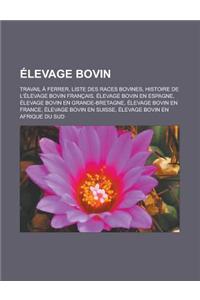 Elevage Bovin