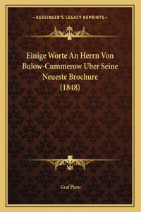 Einige Worte An Herrn Von Bulow-Cummerow Uber Seine Neueste Brochure (1848)