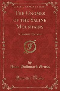 The Gnomes of the Saline Mountains: A Fantastic Narrative (Classic Reprint)