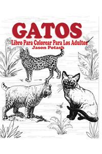 Gatos Libro Para Colorear Para Los Adultos